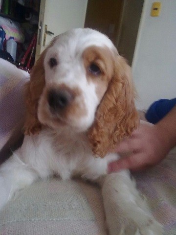 ..... Alicia con 9 meses de vida...... :):):):):):) ..... Alicia con 9 meses de vida...... :):):):):):)
